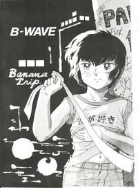 B-Wave II 3