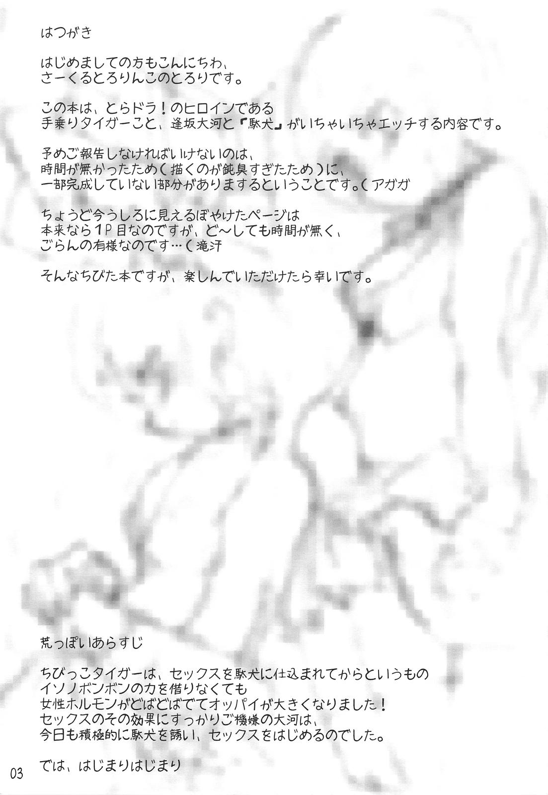 Consolo Tenori Taiga to Issho! - Toradora Glamcore - Page 2