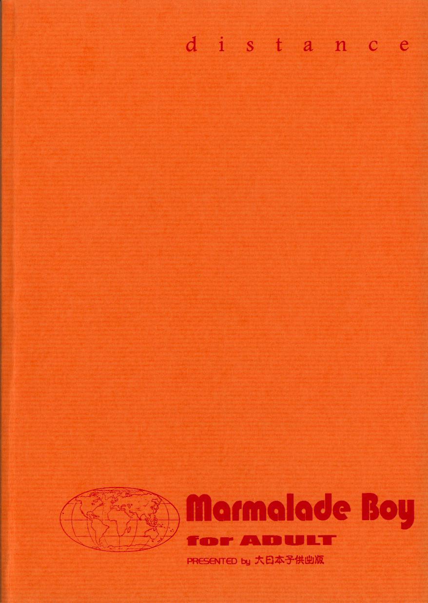 Analplay distance - Marmalade boy Two - Page 18