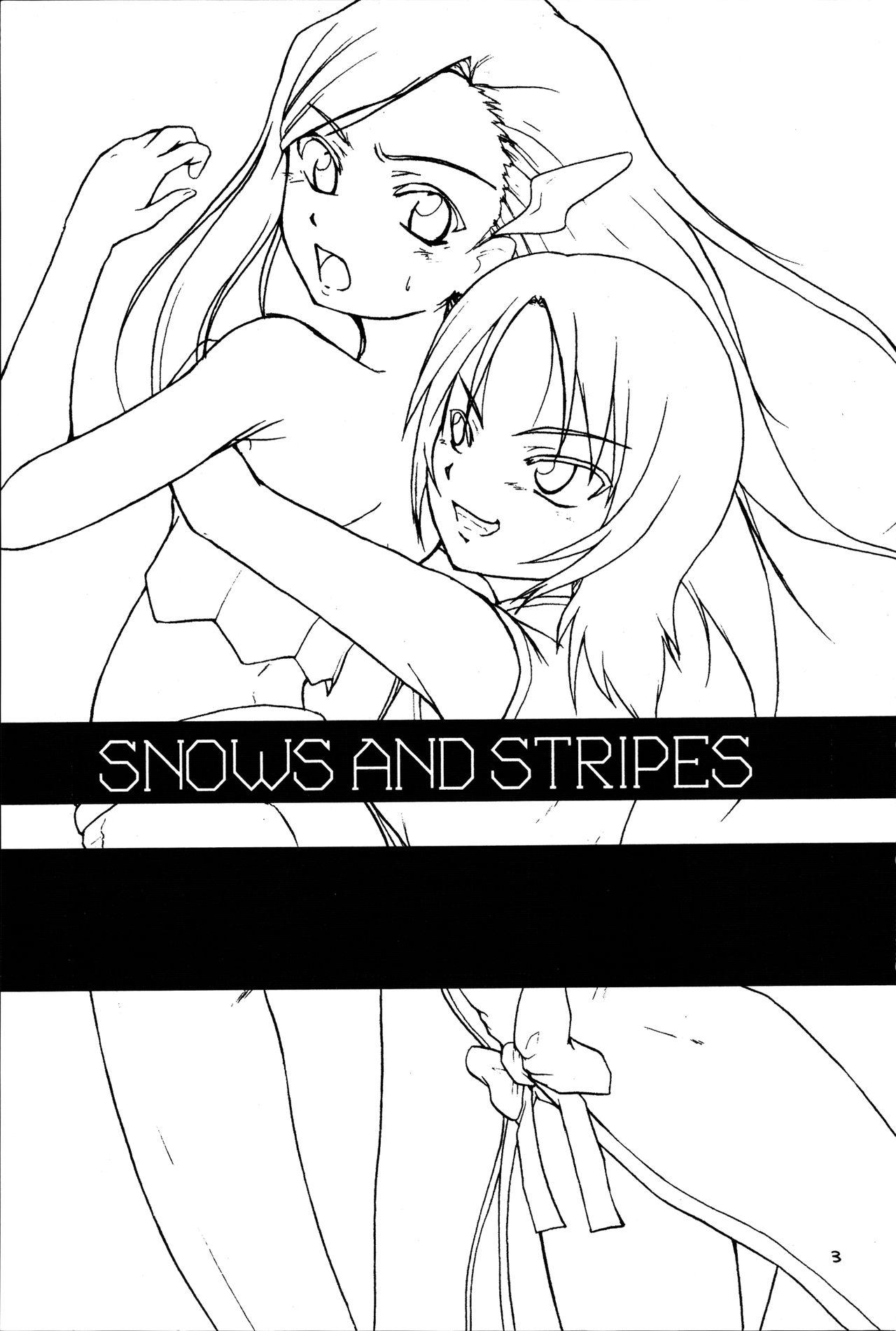 Snows and Stripes 1