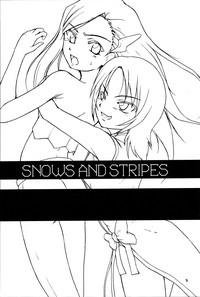 Snows and Stripes 2