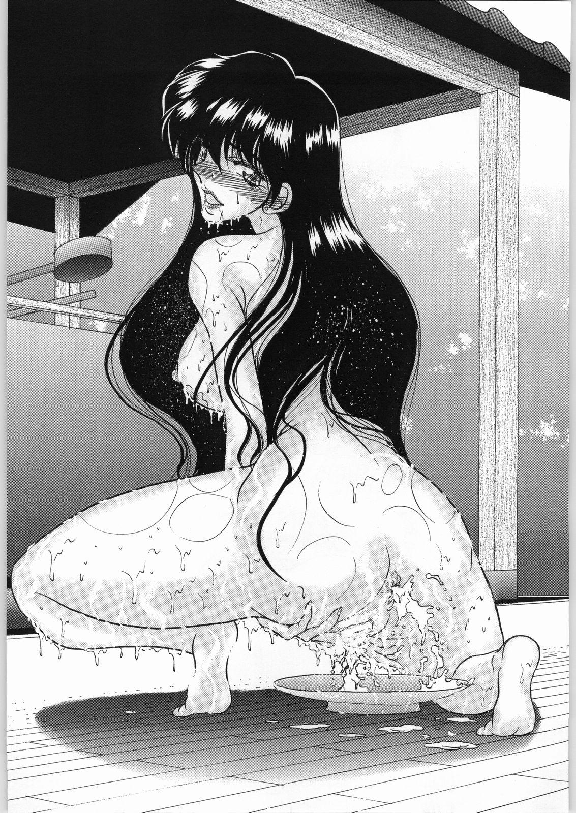 (C55) [ENERGYA (Roshiya No Dassouhei)] COLLECTION OF -SAILORMOON- ILLUSTRATIONS FOR ADULT Vol.2 (Bishoujo Senshi Sailor Moon) 45
