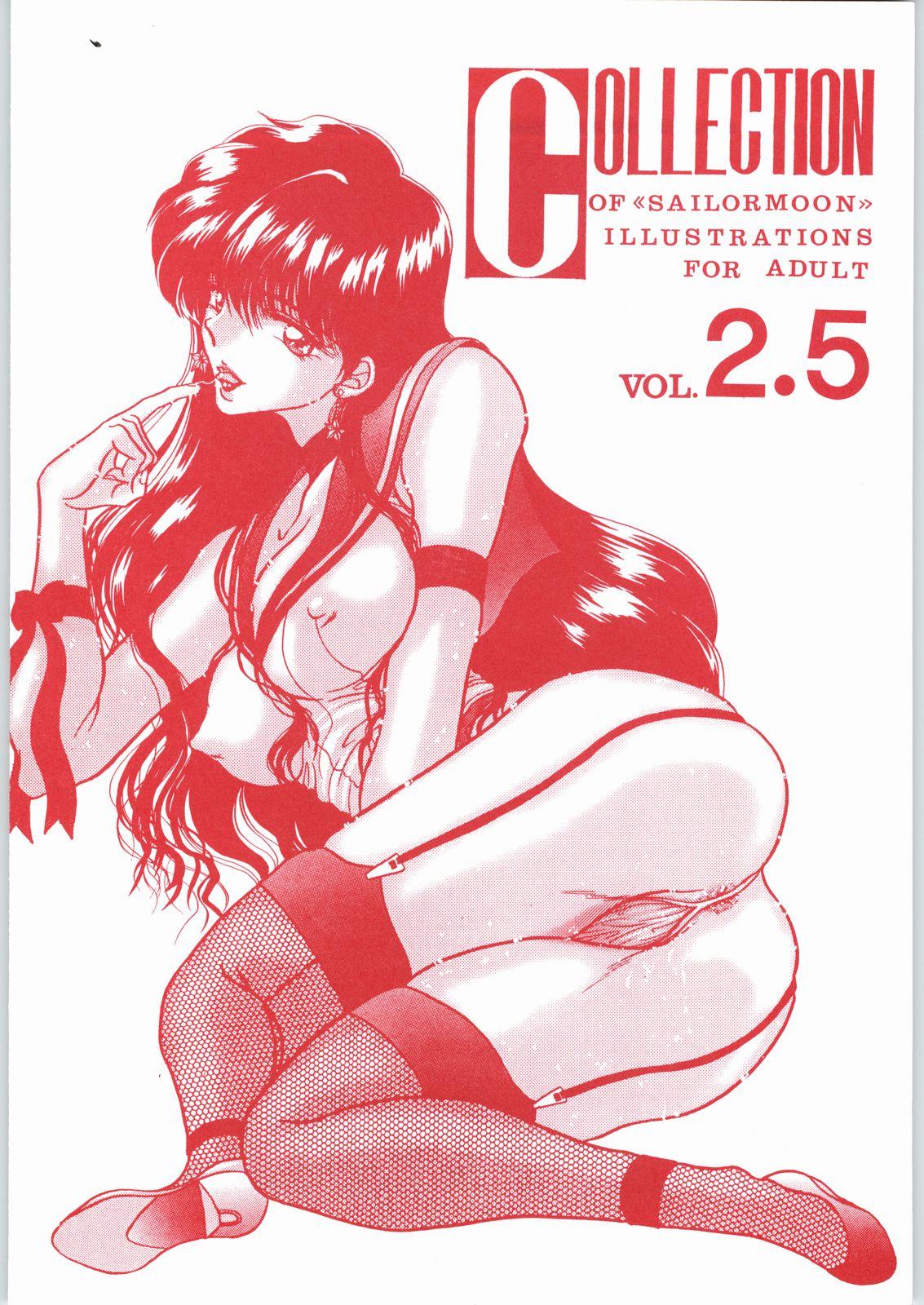 (C55) [ENERGYA (Roshiya No Dassouhei)] COLLECTION OF -SAILORMOON- ILLUSTRATIONS FOR ADULT Vol.2 (Bishoujo Senshi Sailor Moon) 49