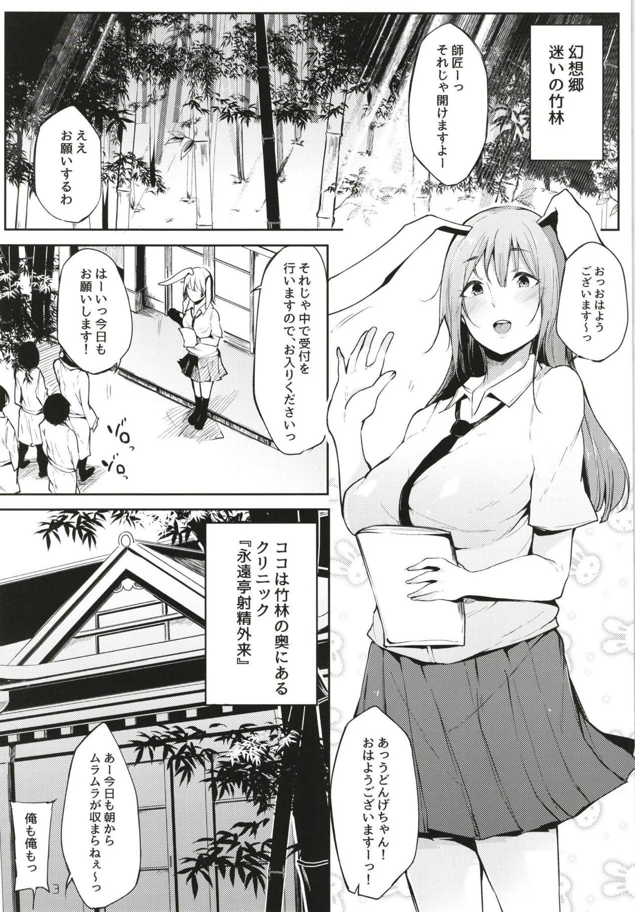 Old Eientei Shasei Gairai - Touhou project Bokep - Page 3