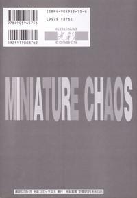 Miniature Chaos 4