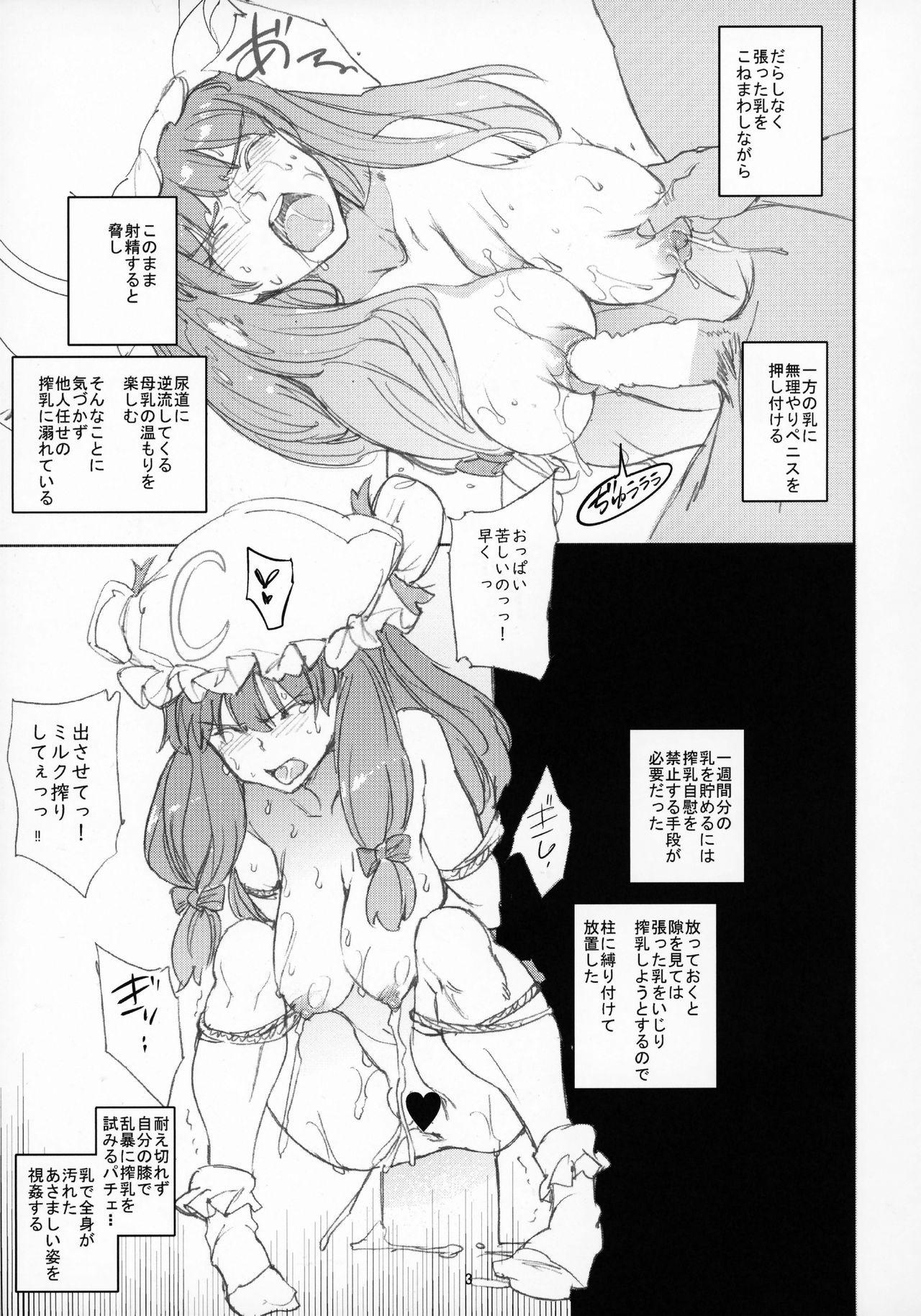 Emo Gay PSR - Touhou project Oldvsyoung - Page 4