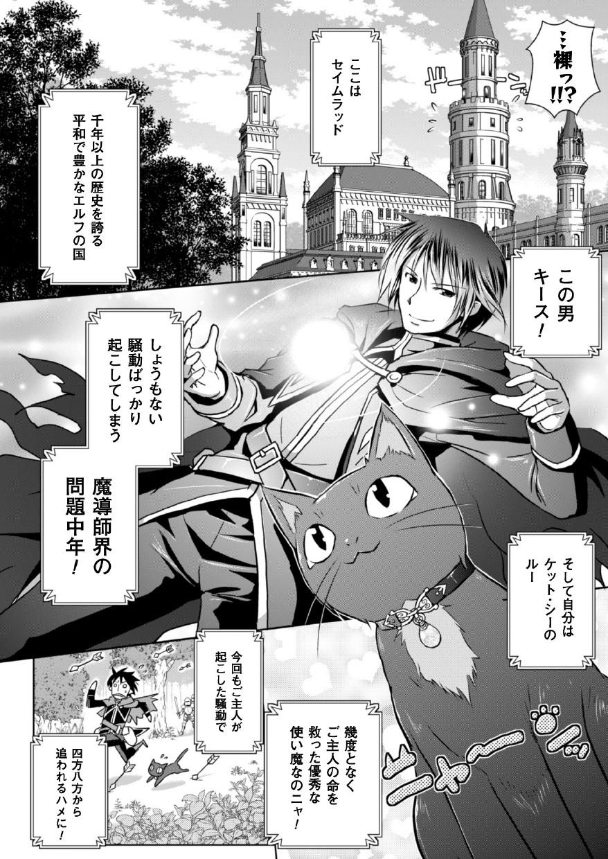 Solo Elf no Kuni no Kyuutei Madoushi ni Nareta no de Hime-sama ni Seiteki na Itazura o Shite Mita THE COMIC Casa - Page 6