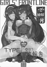 TYPE95&97 Maintenance Report 2