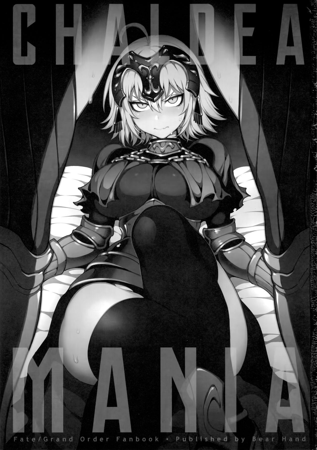 Classic CHALDEA MANIA - Jeanne Alter - Fate grand order Wild - Picture 2