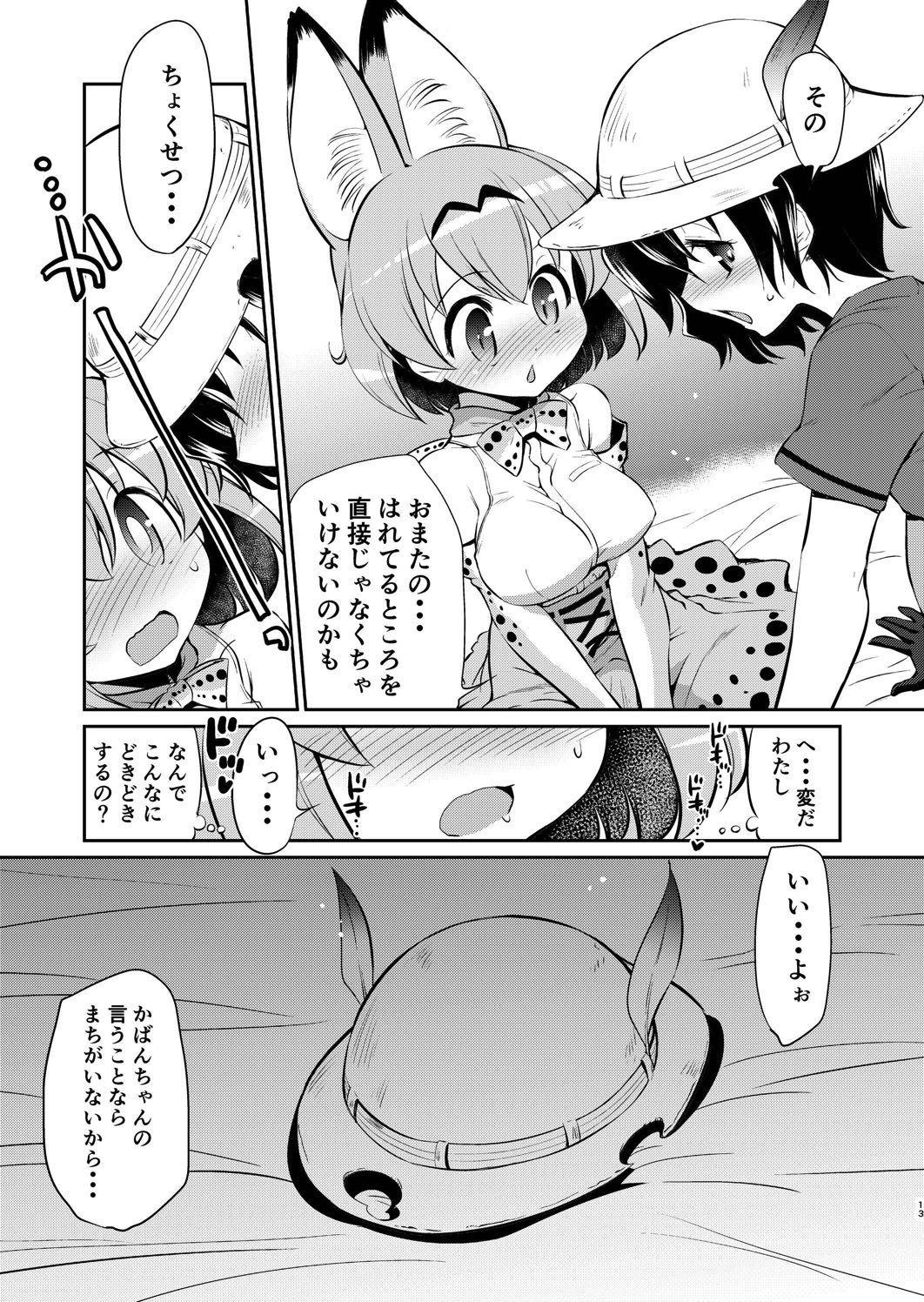 Hole Taihen! Serval-chan no Omata ga Harechatta! - Kemono friends Sexy Girl Sex - Page 12
