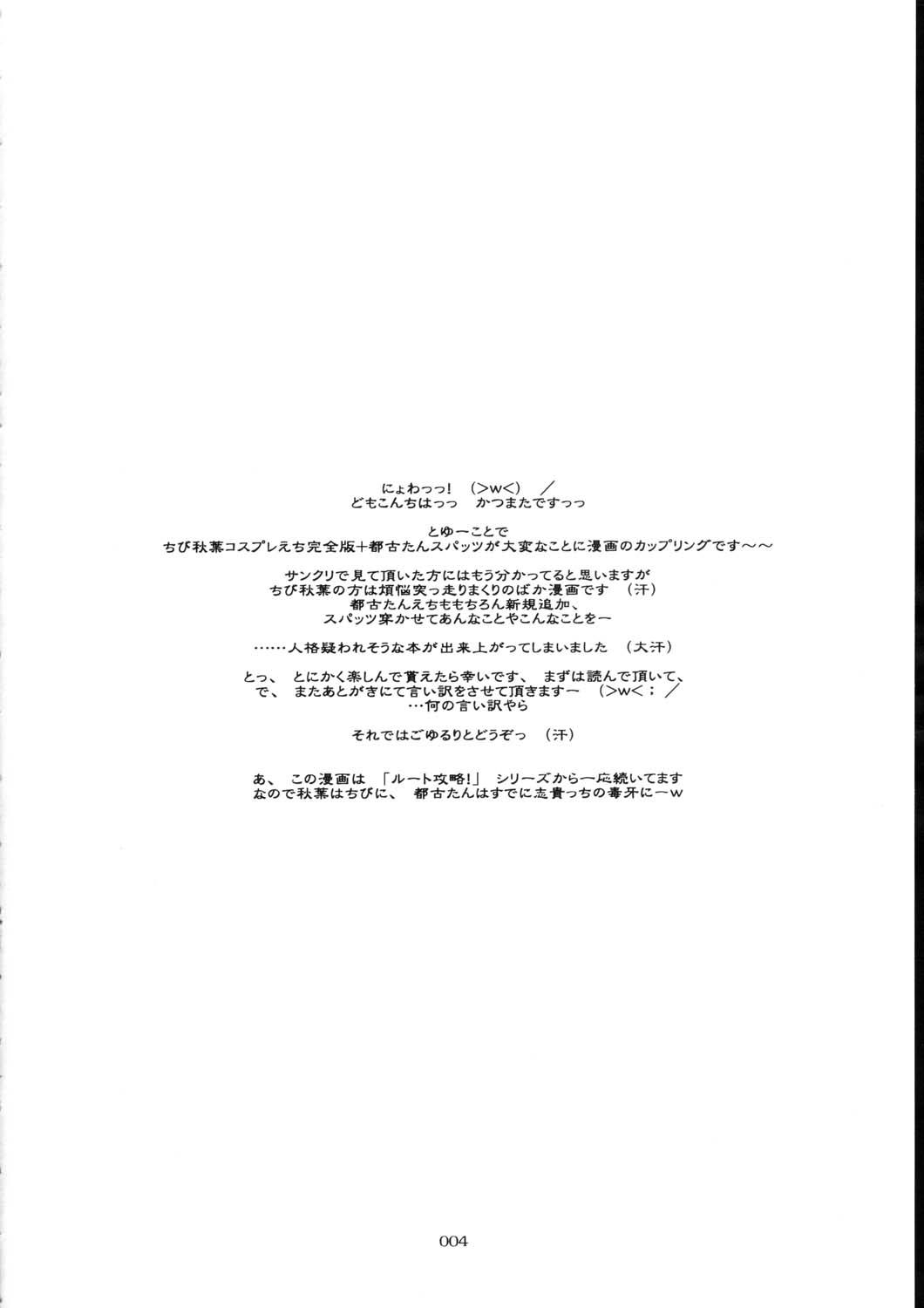 Tsukihime Cosplay x H! 2