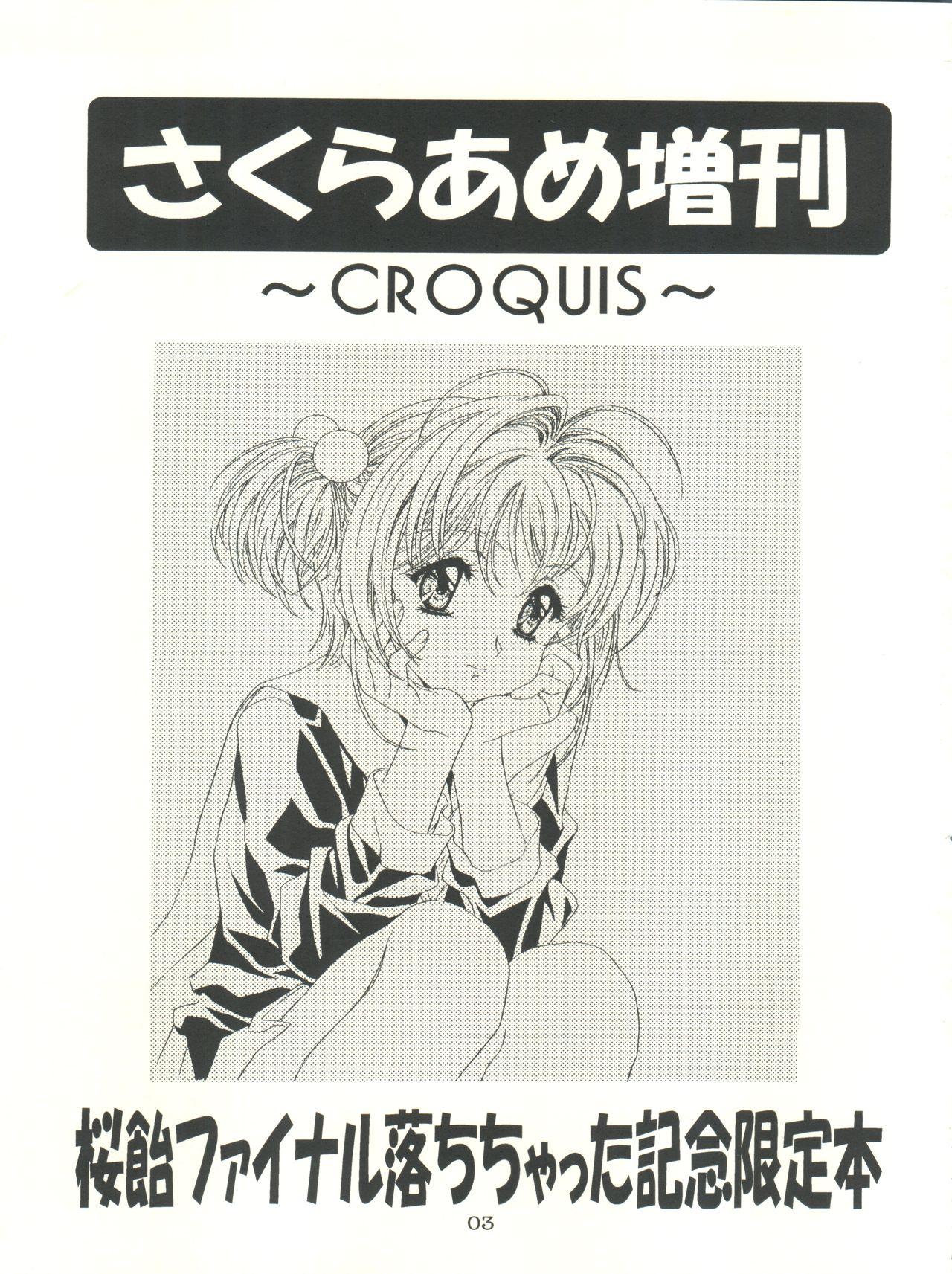 Sakura-Ame CROQUIS 2