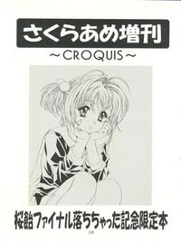 Sakura-Ame CROQUIS 3