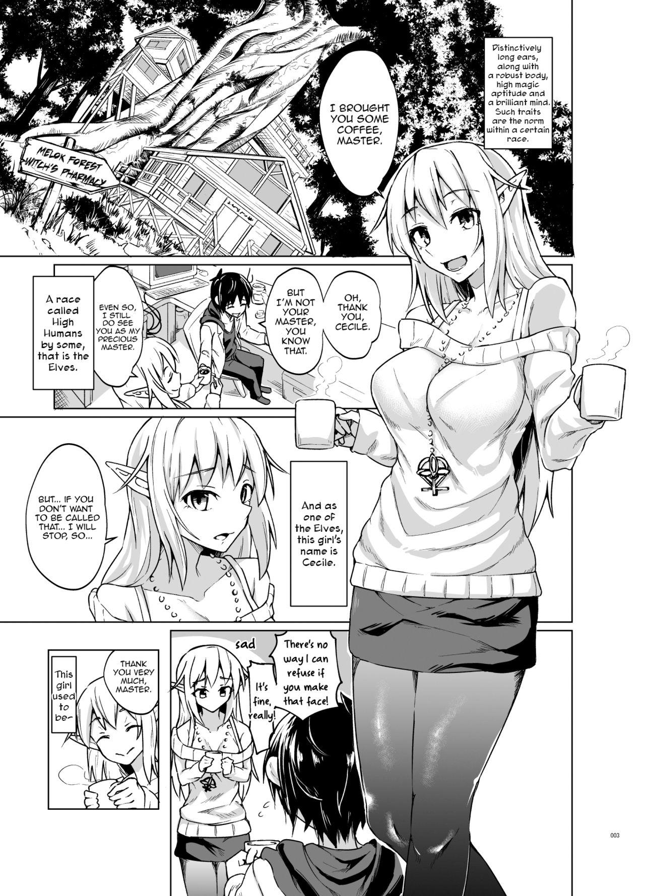 Toaru Elf o Hikitorimashite | Taking Care of a Certain Elf 1