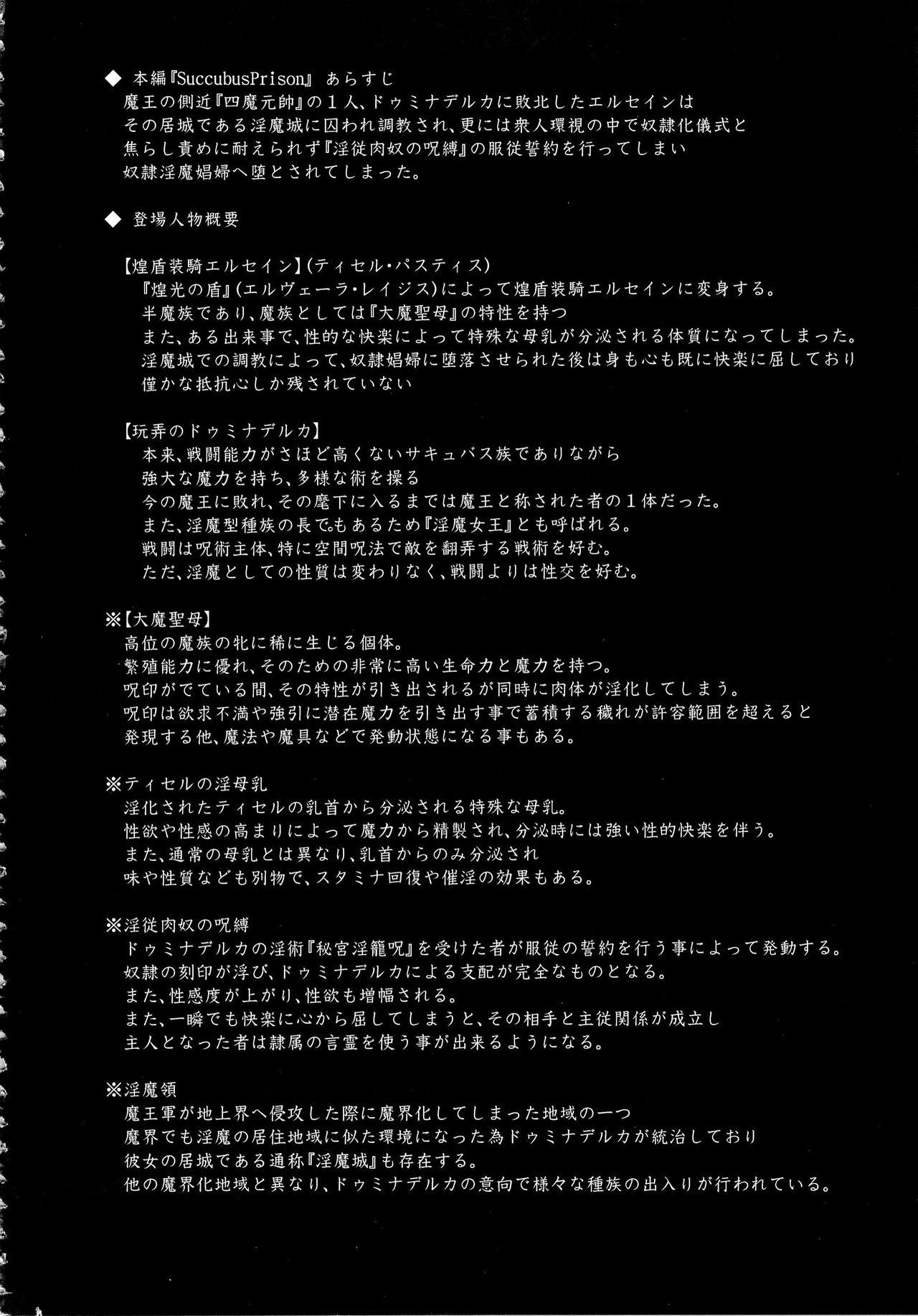 (C85) [FONETRASON (Ryutou)] Shield Knight Elsain Vol. 15 Succubus Prison [English] SMDC-Translations] 3