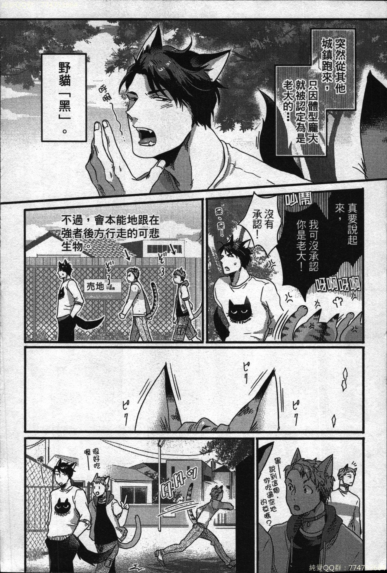 Novinho Hatsujou Kemono Hiyori | 發情野獸日和 European - Page 5