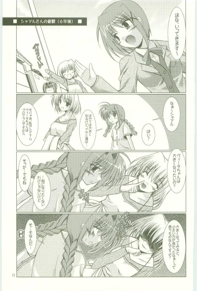 Famosa BORDER LINE - Mahou shoujo lyrical nanoha Verification - Page 13