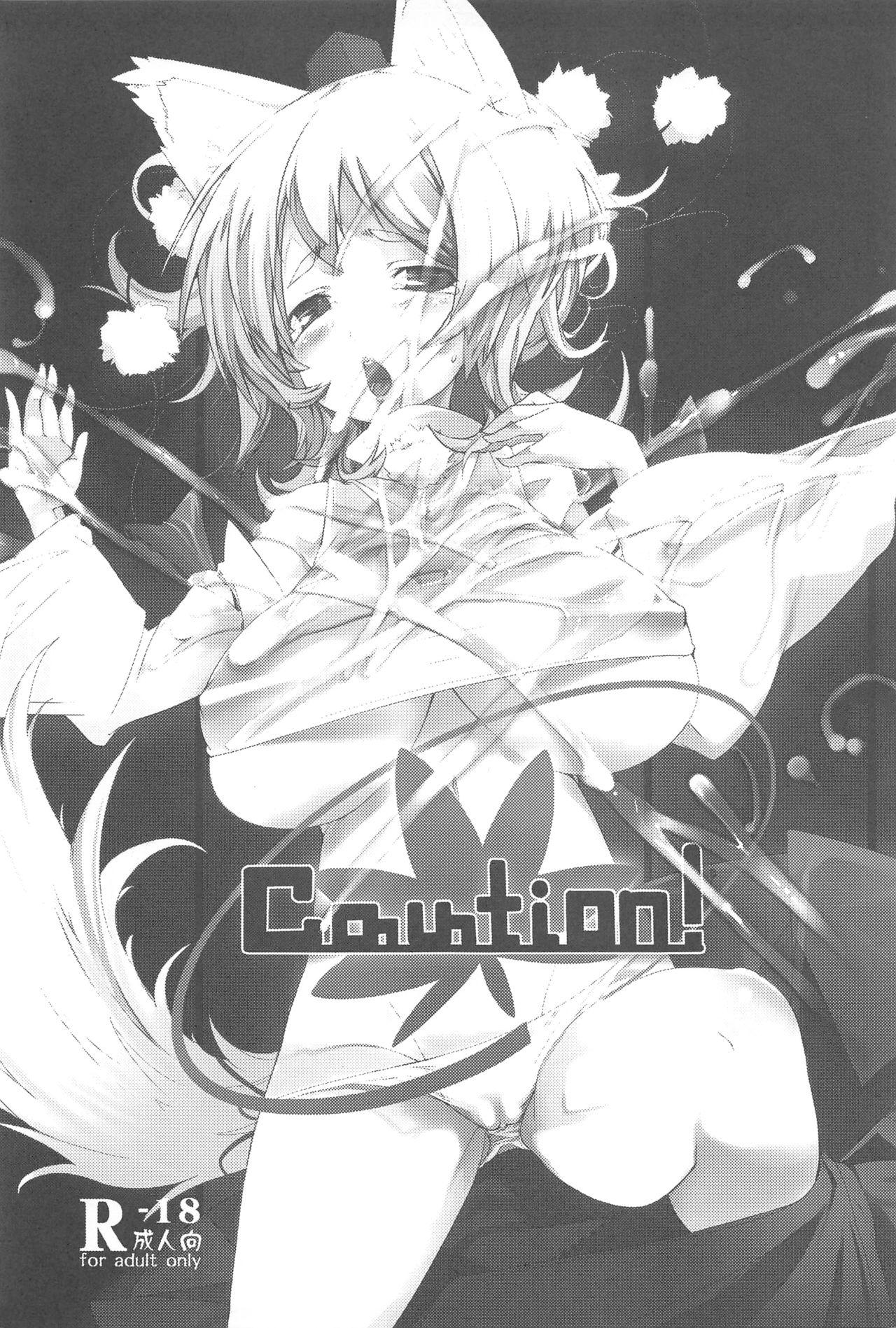 Animation Caution! - Touhou project Outdoor - Page 2