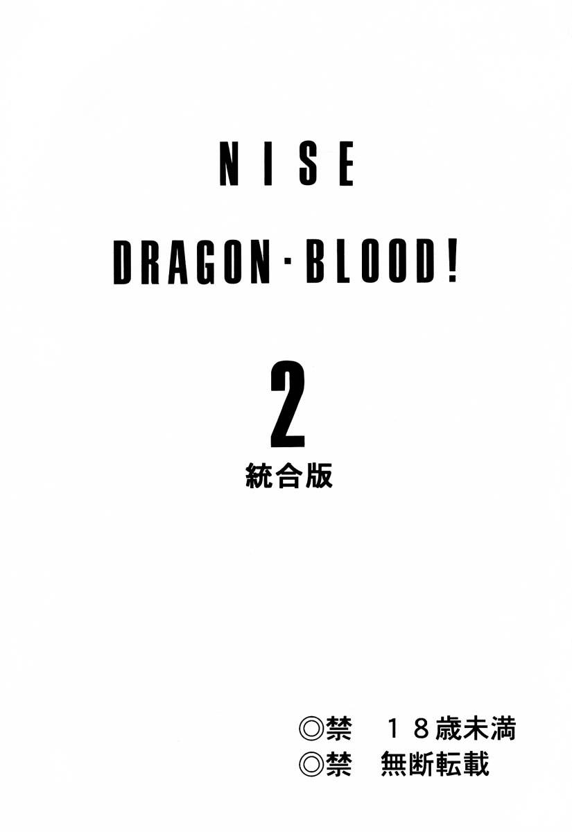 Nise Dragon Blood! 2 1