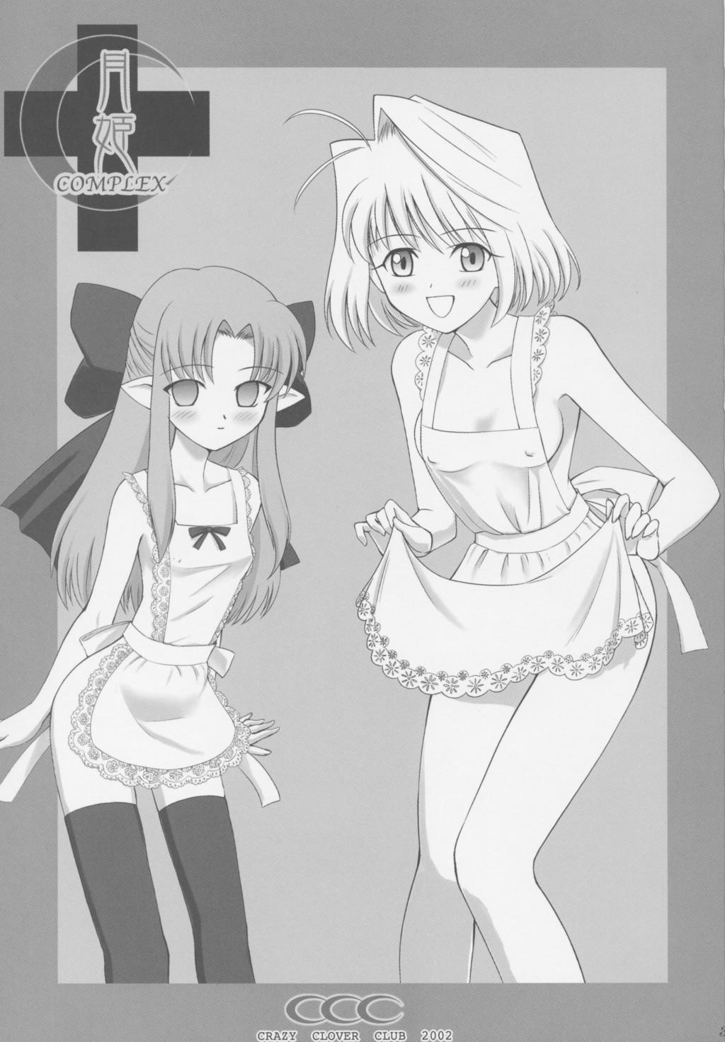 Tgirl Tsukihime Complex - Tsukihime Jeune Mec - Page 2