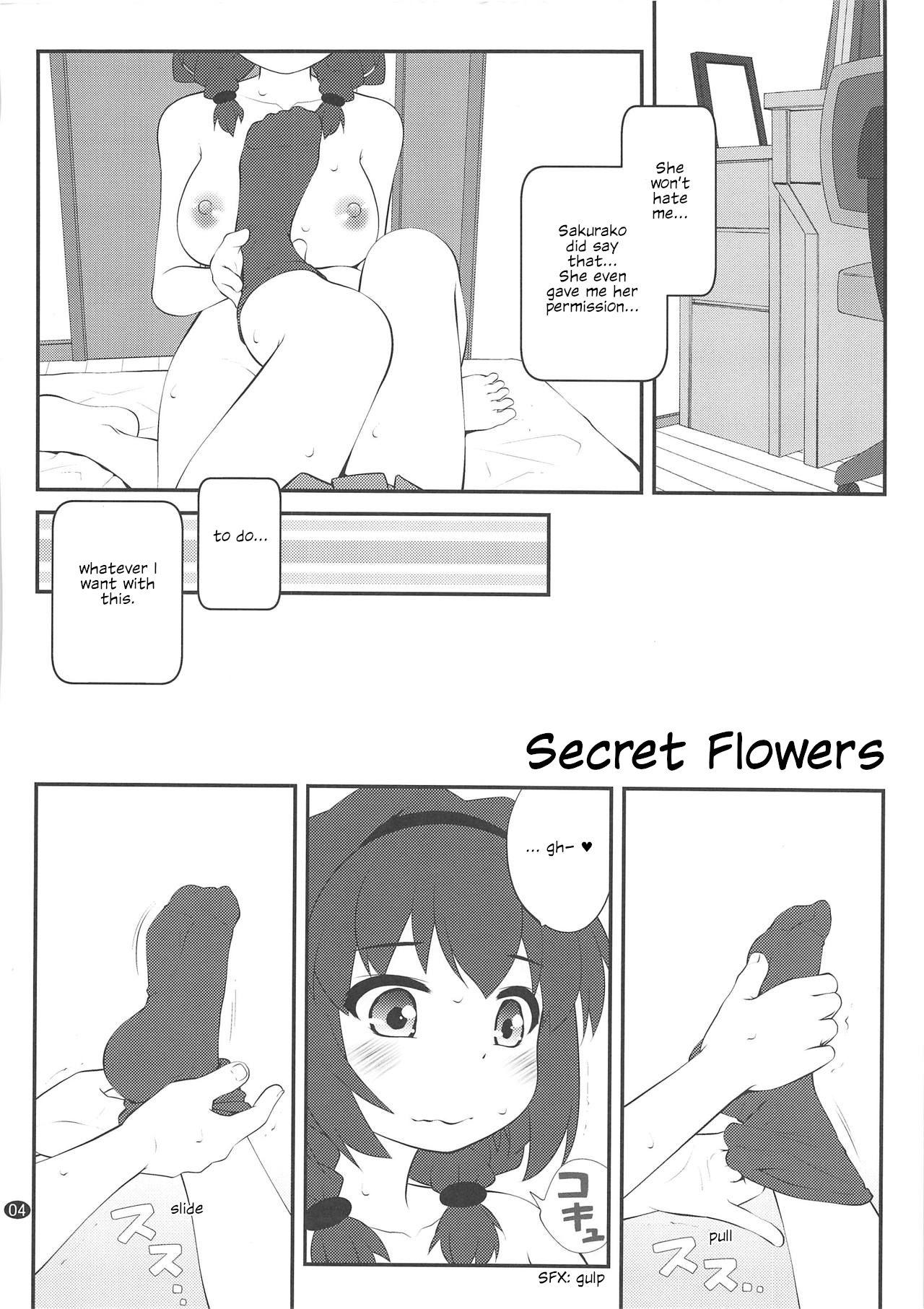 Ftv Girls Himegoto Flowers 13 | Secret Flowers 13 - Yuruyuri Sola - Page 3