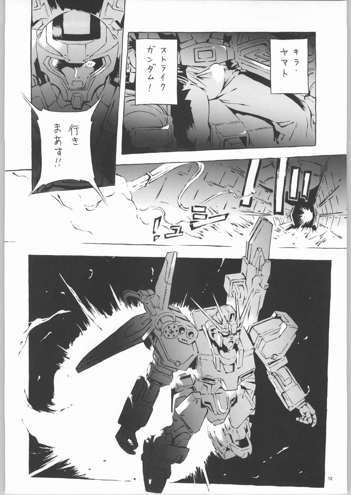 Spy Camera Kekkan Dam Dam A - Gundam seed Cheat - Page 11
