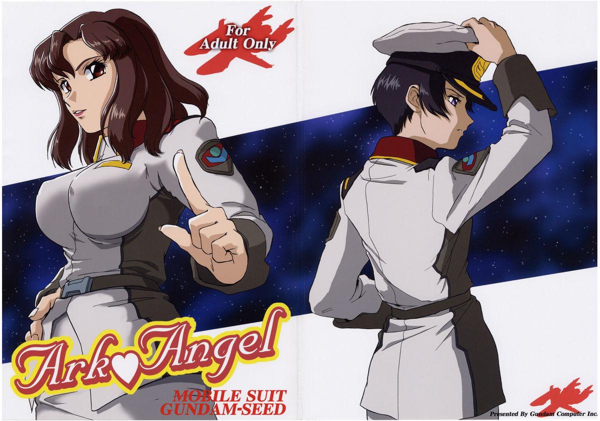Gay Toys Ark Angel - Gundam seed Tight Ass - Page 1