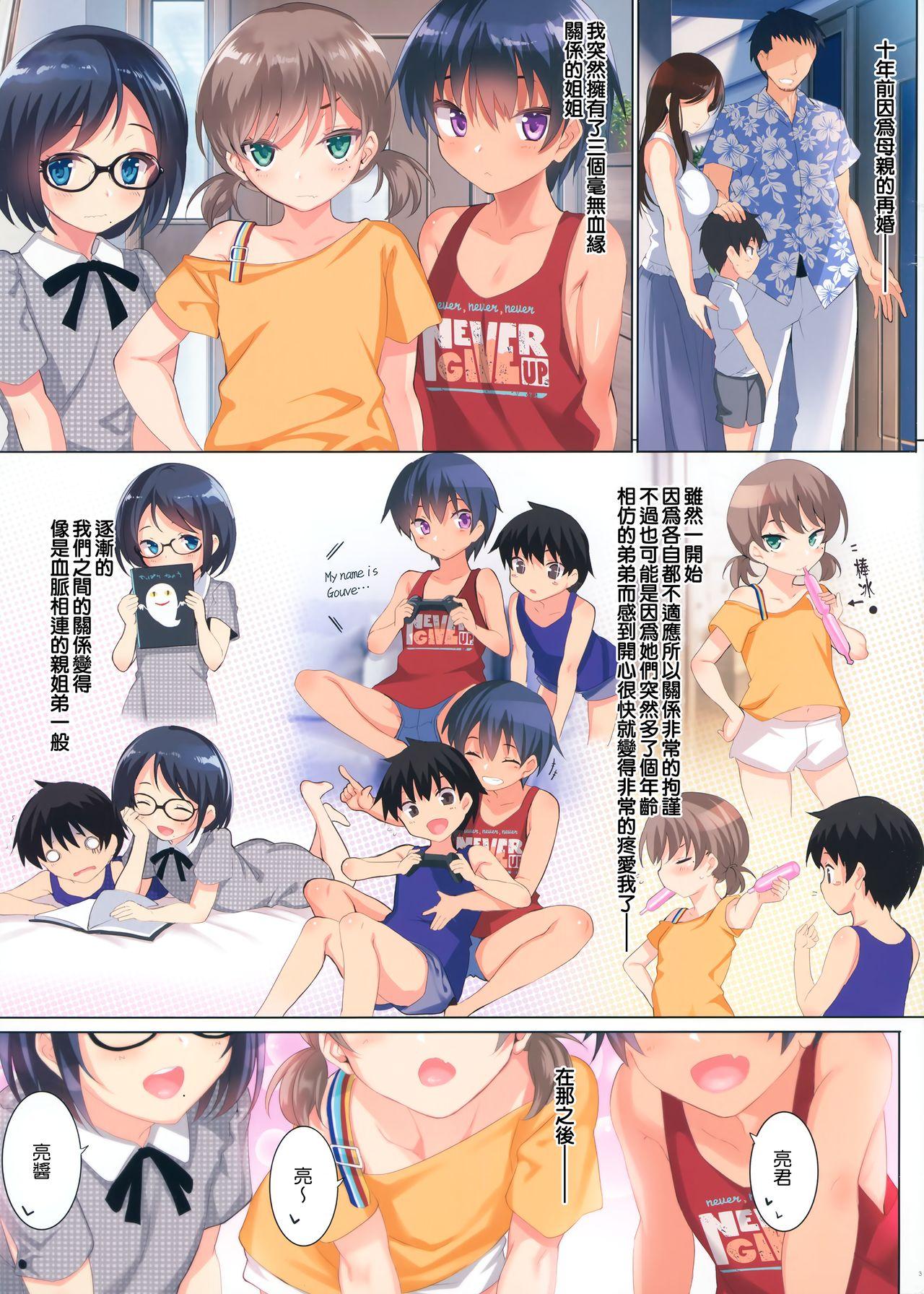 Skype (C96) [clesta (Cle Masahiro)] CL-orc 01 Ane Zanmai - Three sister's harem [Chinese] [無邪気漢化組] - Original Hot - Page 4