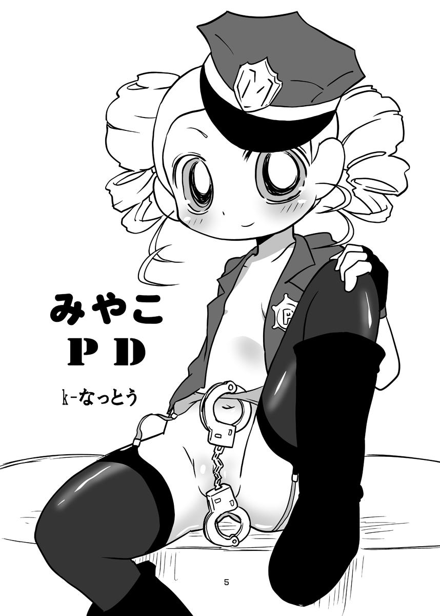 Miyako PD 3