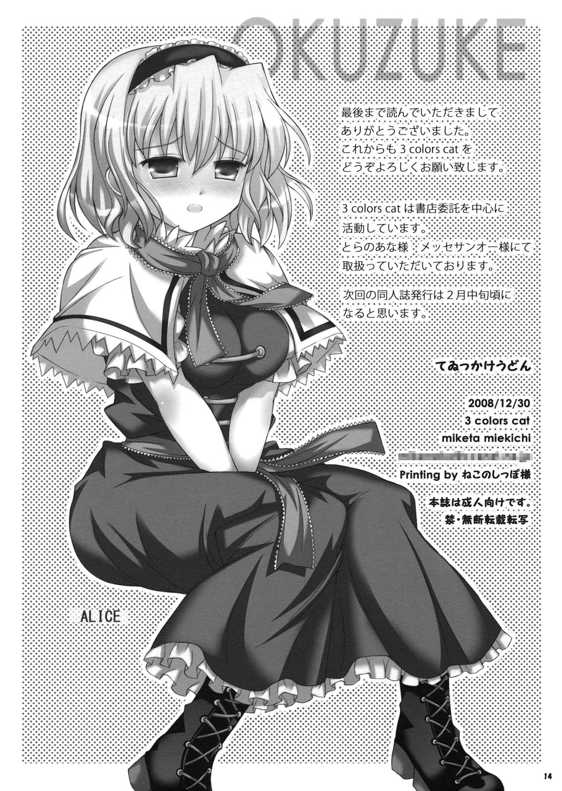 Pierced Teikkakeudon - Touhou project Outside - Page 14