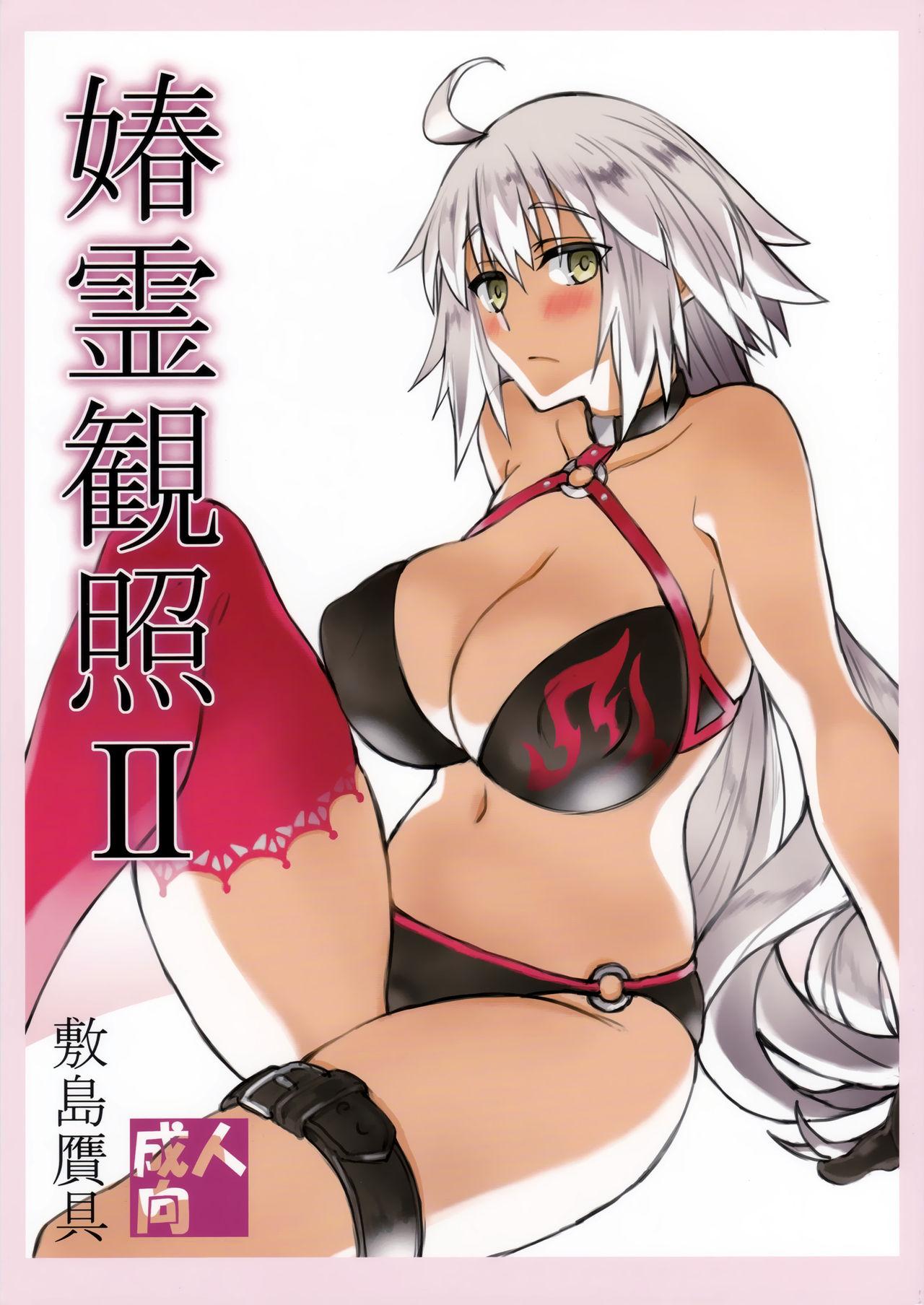 媋霊観照II (C96) [敷島贋具 (敷島天気、敷島昭太郎)] (Fate/Grand Order) 0