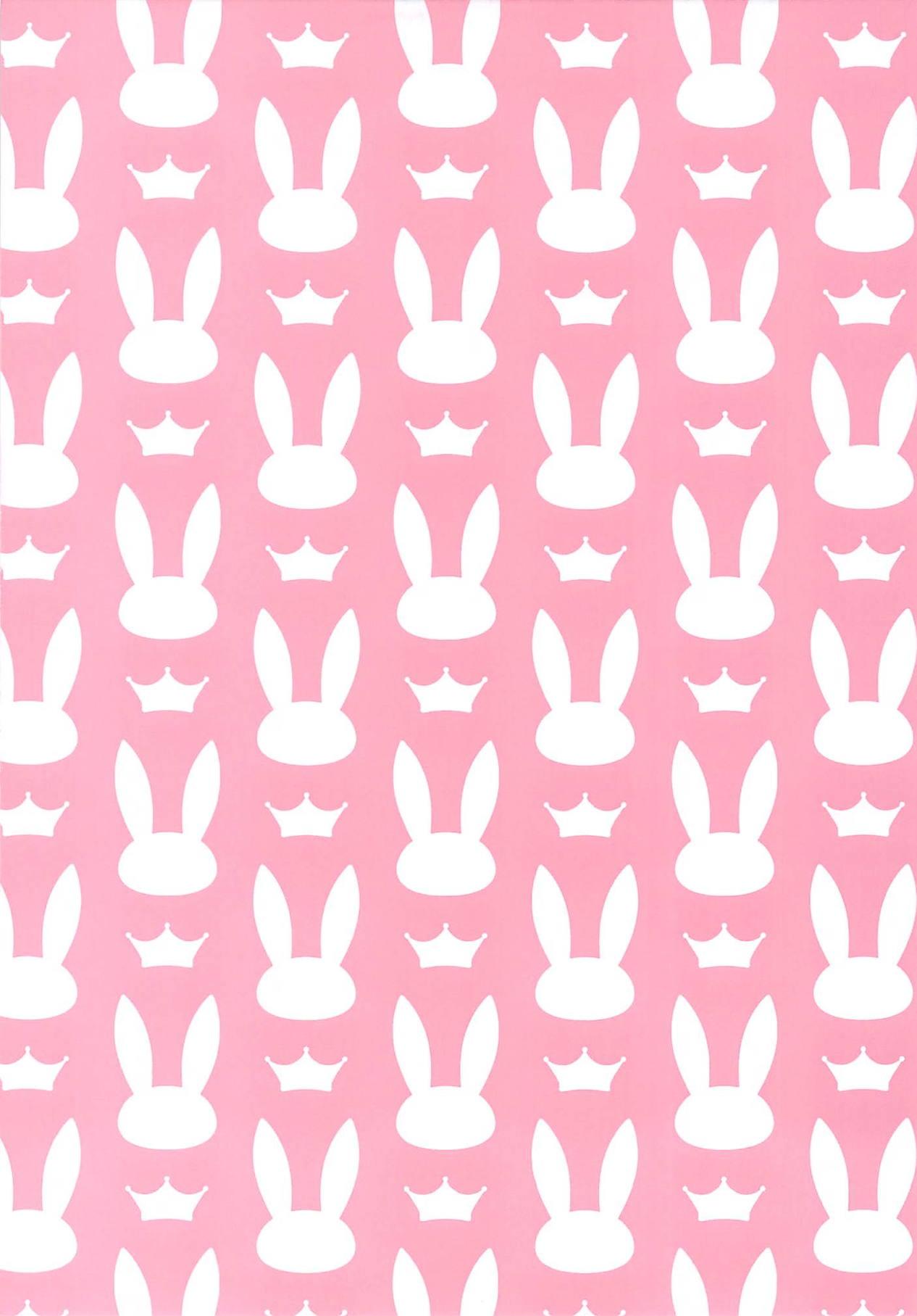Madoromi Usagi | 打盹的兔子 14