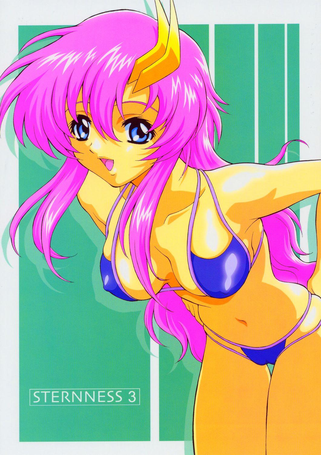 Wetpussy Sternness 3 - Gundam seed Tranny - Picture 1