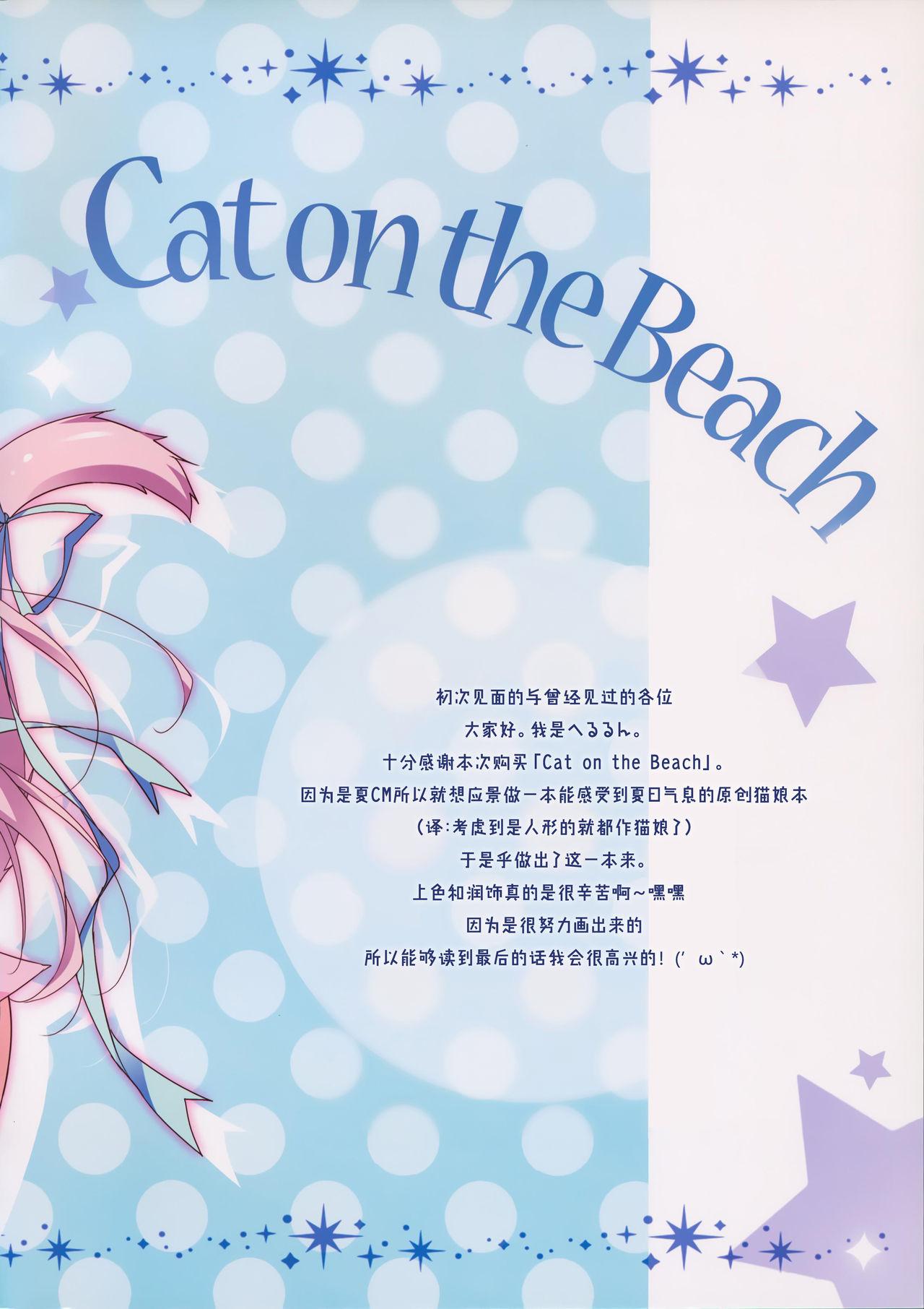 Cat on the Beach 3