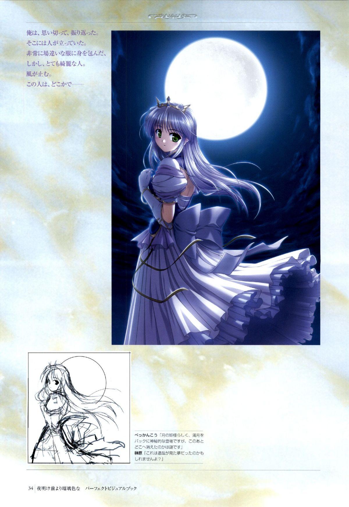 Yoake Mae Yori Ruri Iro Na ( Crescent Love ) Perfect Visual Book 30