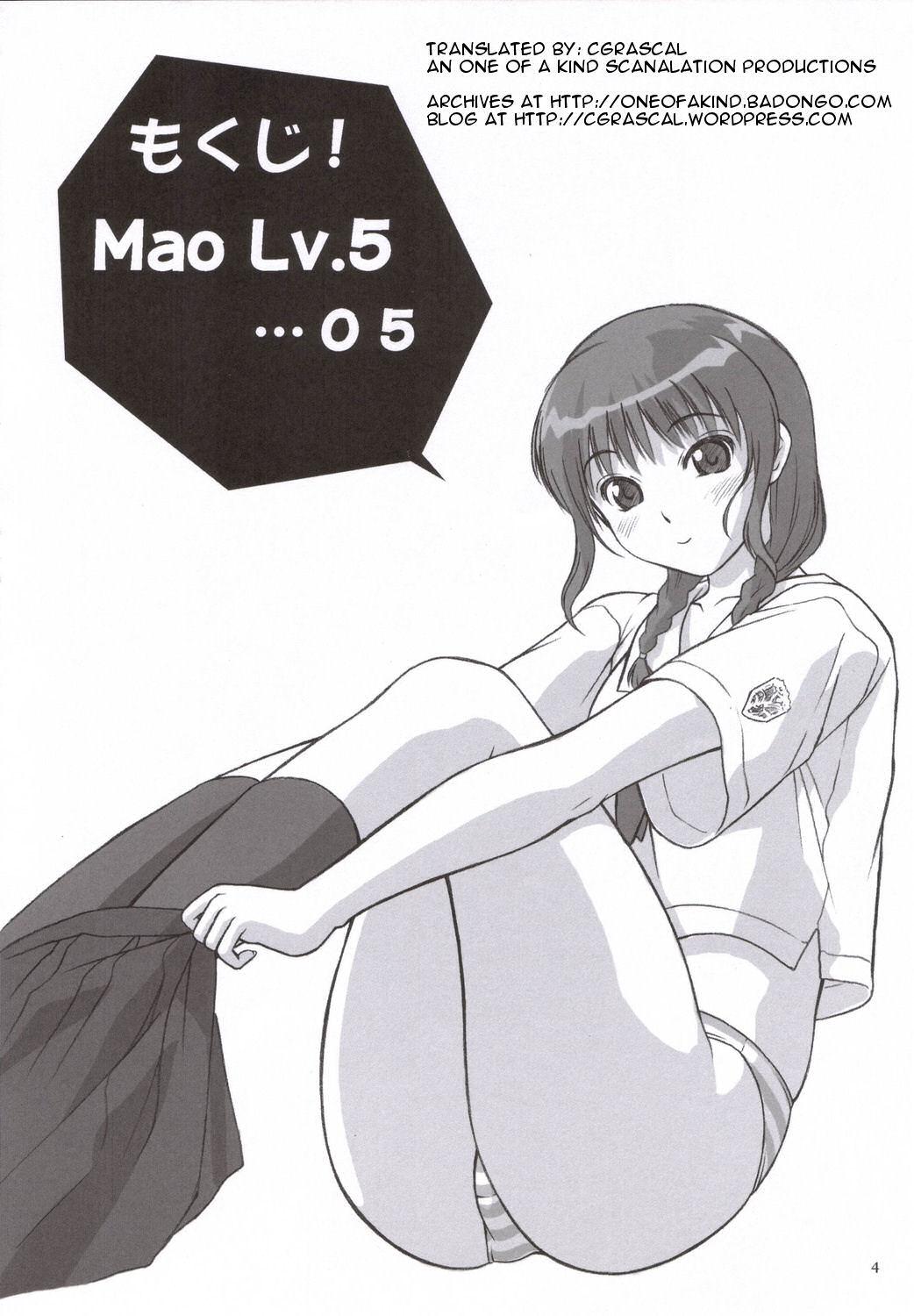 Mao Lv.5 2