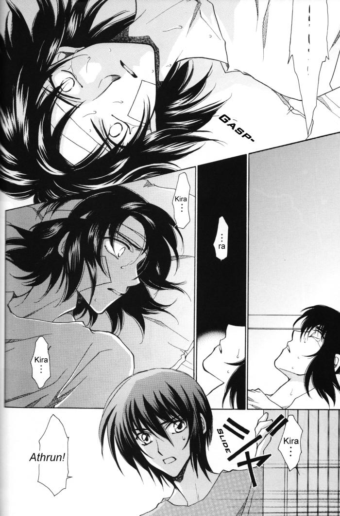 Beauty Shakunetsu - Gundam seed destiny Deflowered - Page 7