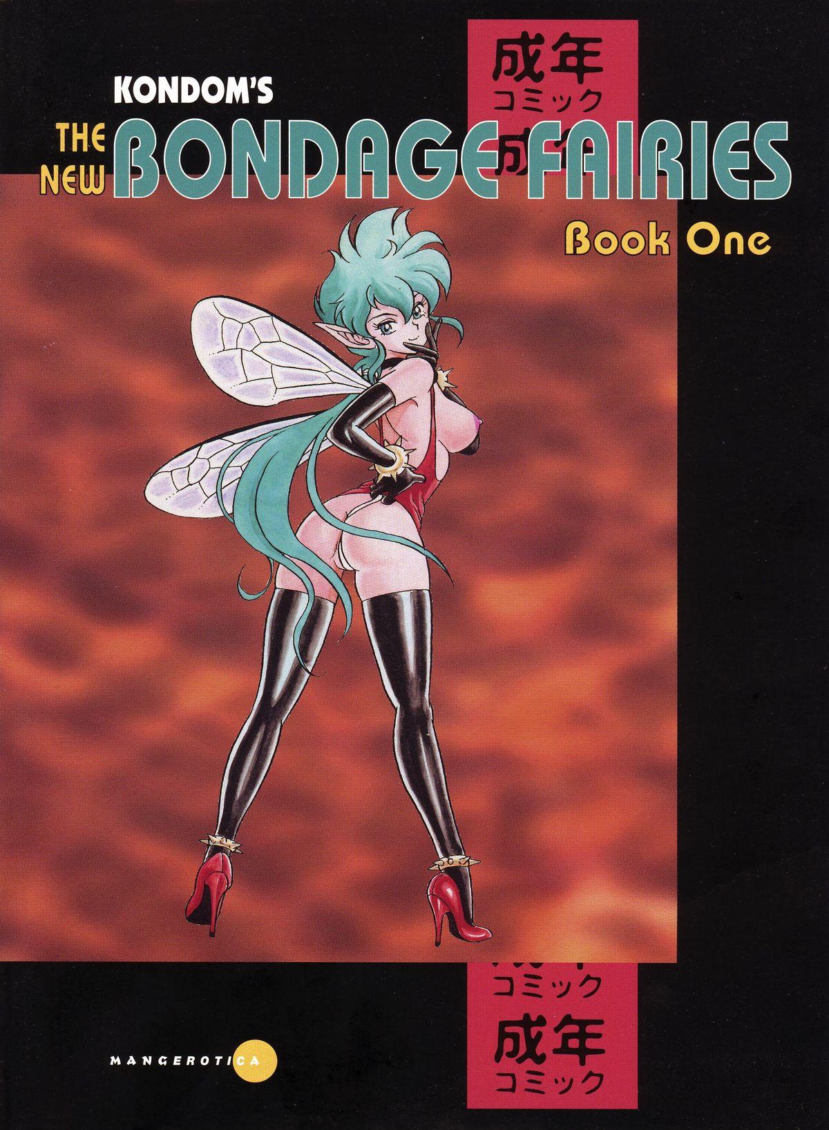 The New Bondage Fairies - Book One 0