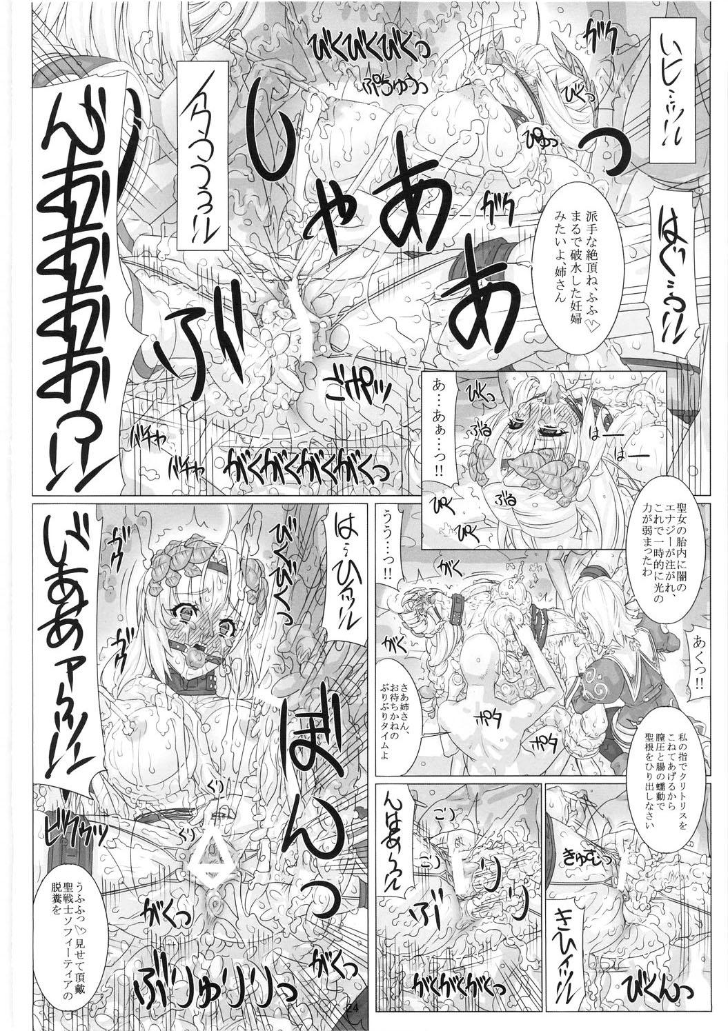 JUNK Dain no Miko San 24