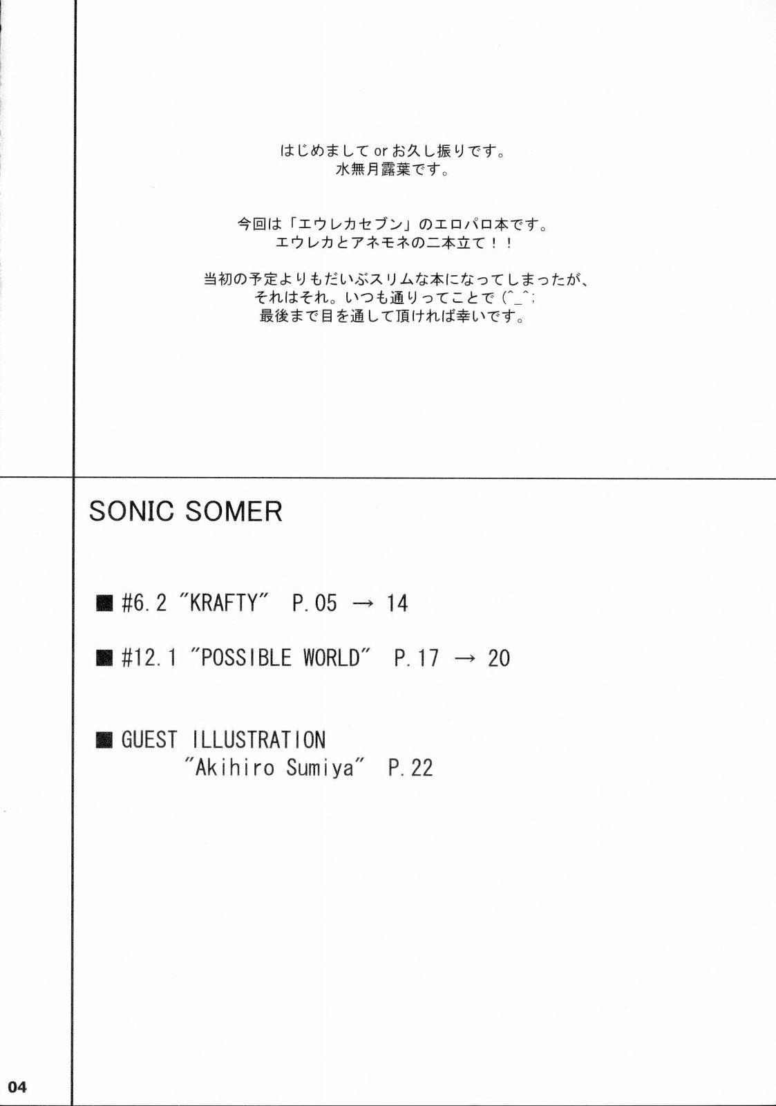 Sonic Somer 4