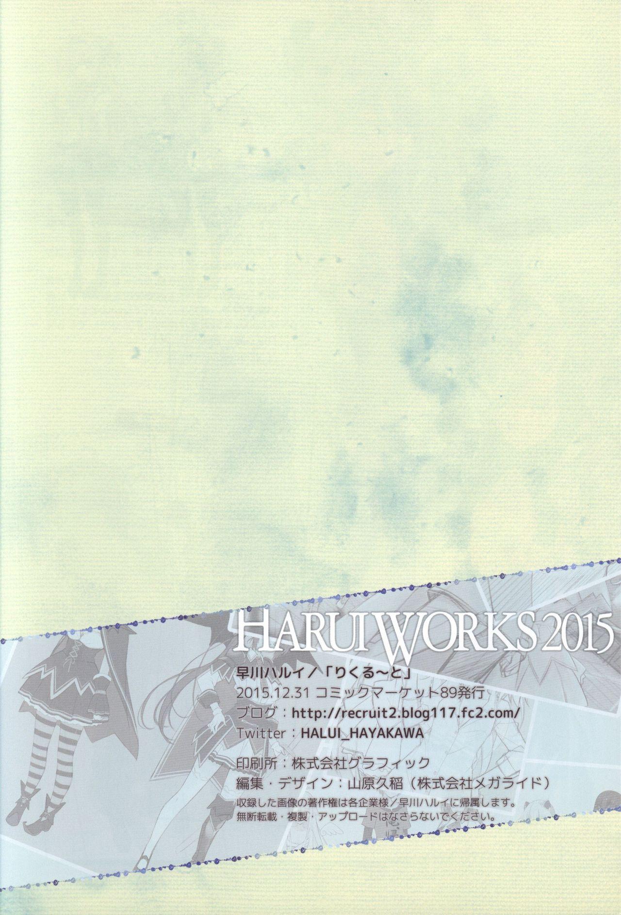 HARUI WORKS 2015 60