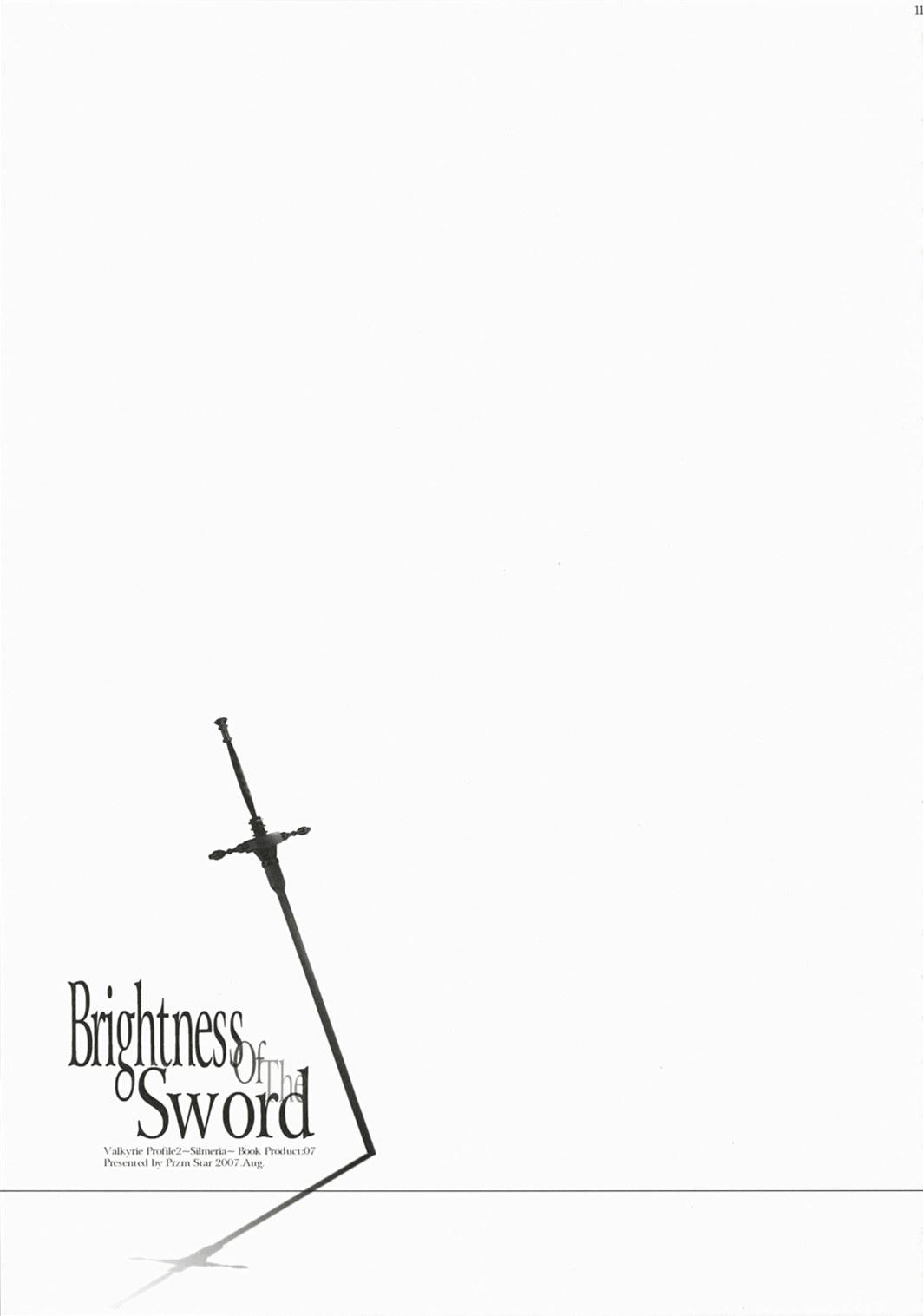Brightness of The Sword 10