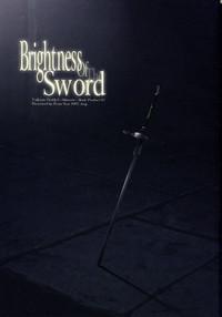 Brightness of The Sword 3