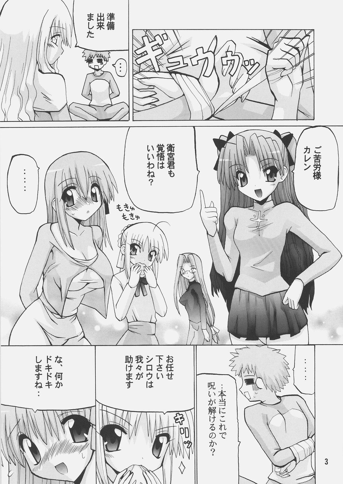 Korean Harem Route - Fate stay night Grande - Page 2