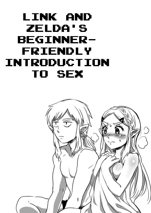 Link to Zelda no Shoshinsha ni Yasashii Sex Nyuumon | Link and Zelda's Beginner-friendly Introduction To Sex 0
