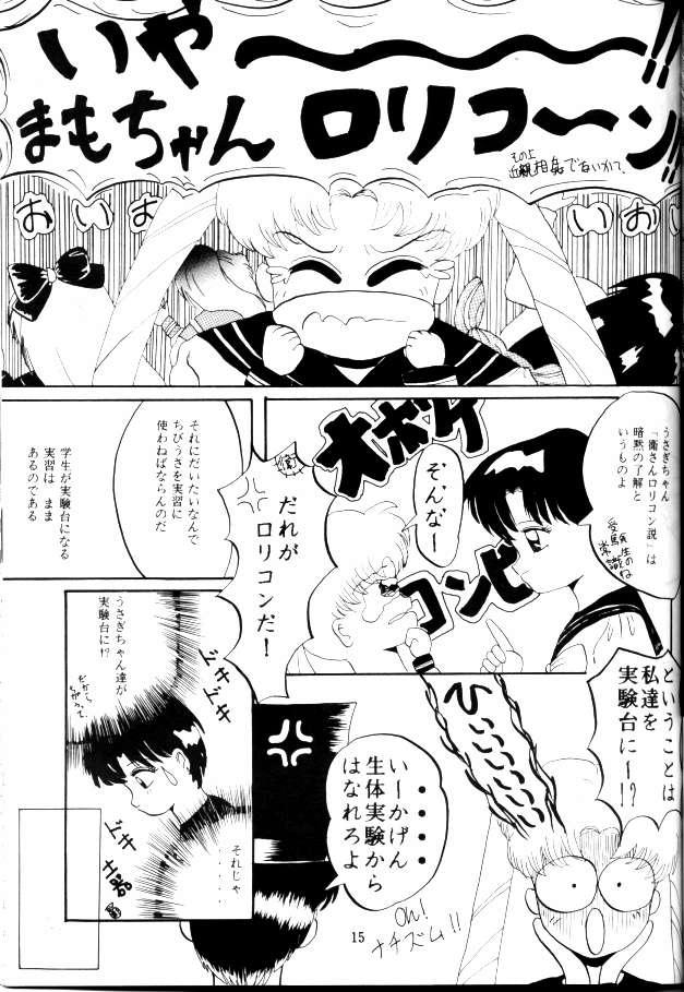 [Lummy] Ningen no o-Isha-san (Bishoujo Senshi Sailor Moon) 11