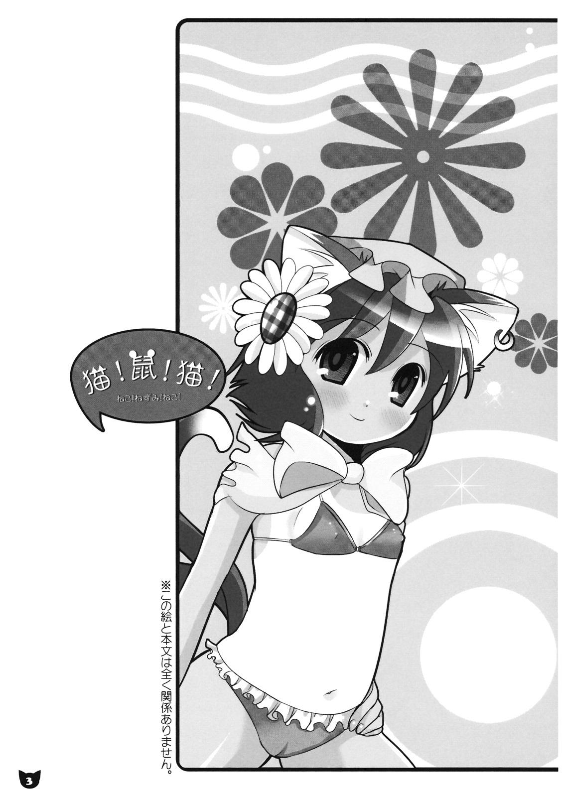 Girl On Girl Neko! Nezumi! Neko! - Touhou project Banging - Page 3