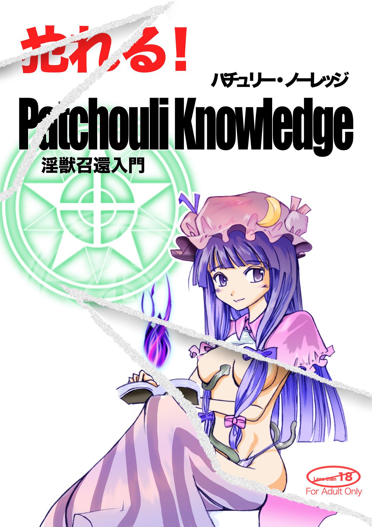 Yareru! Patchouli knowledge 0