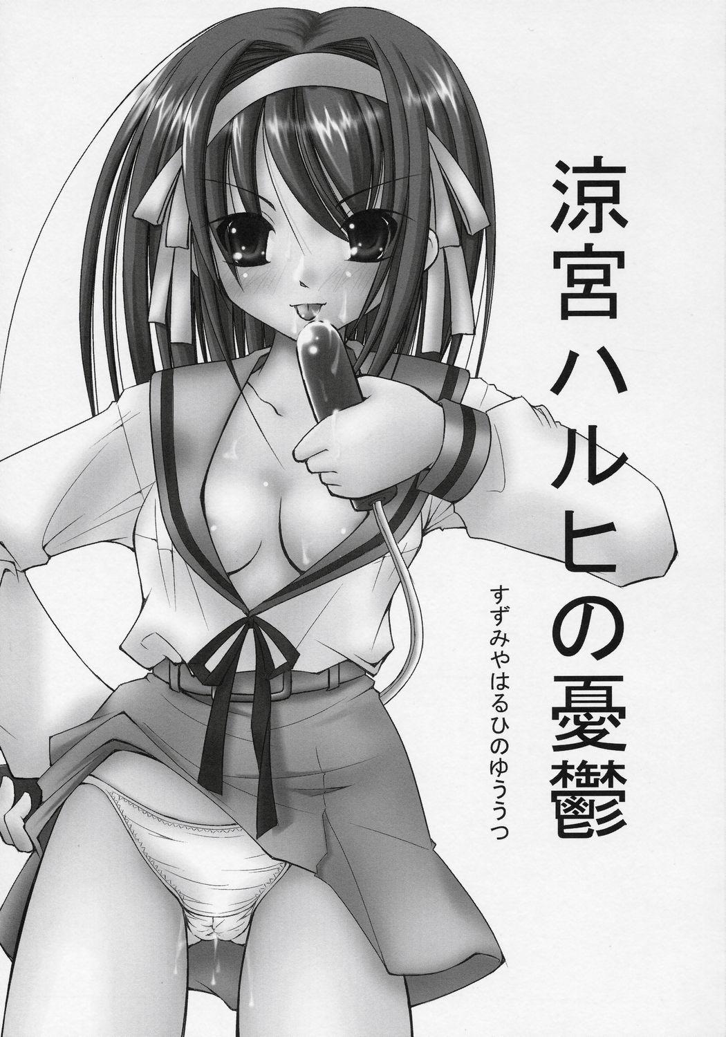 Suzumiya Haruhi no Seiheki 2