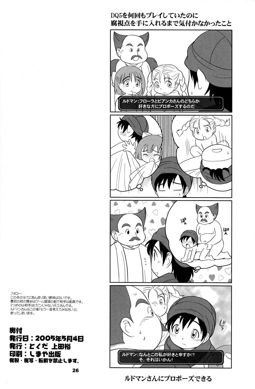 Rebolando Hoshifuru Seisui - Dragon quest v Roundass - Page 26